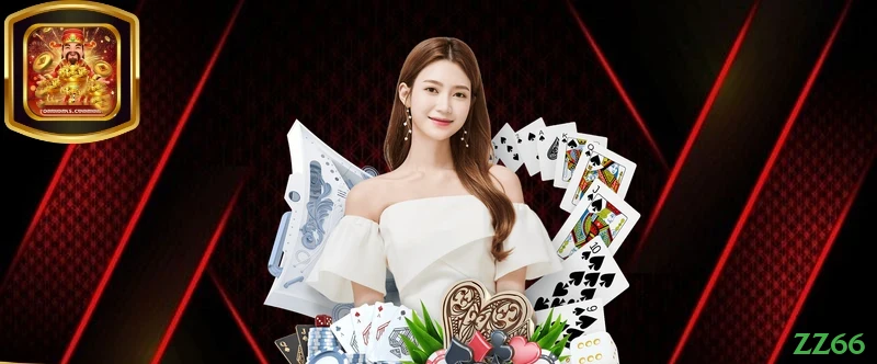 Controles de paJogonto e BRL em zz66