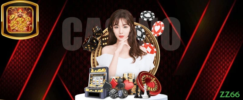 Controles de paJogonto e BRL em zz66